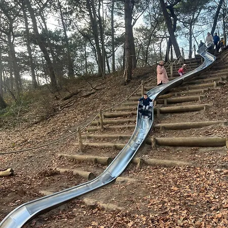 Manon Des Dunes De Haan