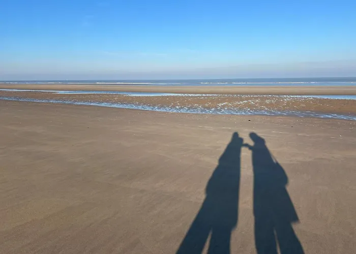 Apartment Manon Des Dunes De Haan